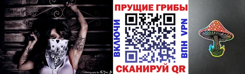 где купить наркоту  Бирюсинск  Галлюциногенные грибы мухоморы 